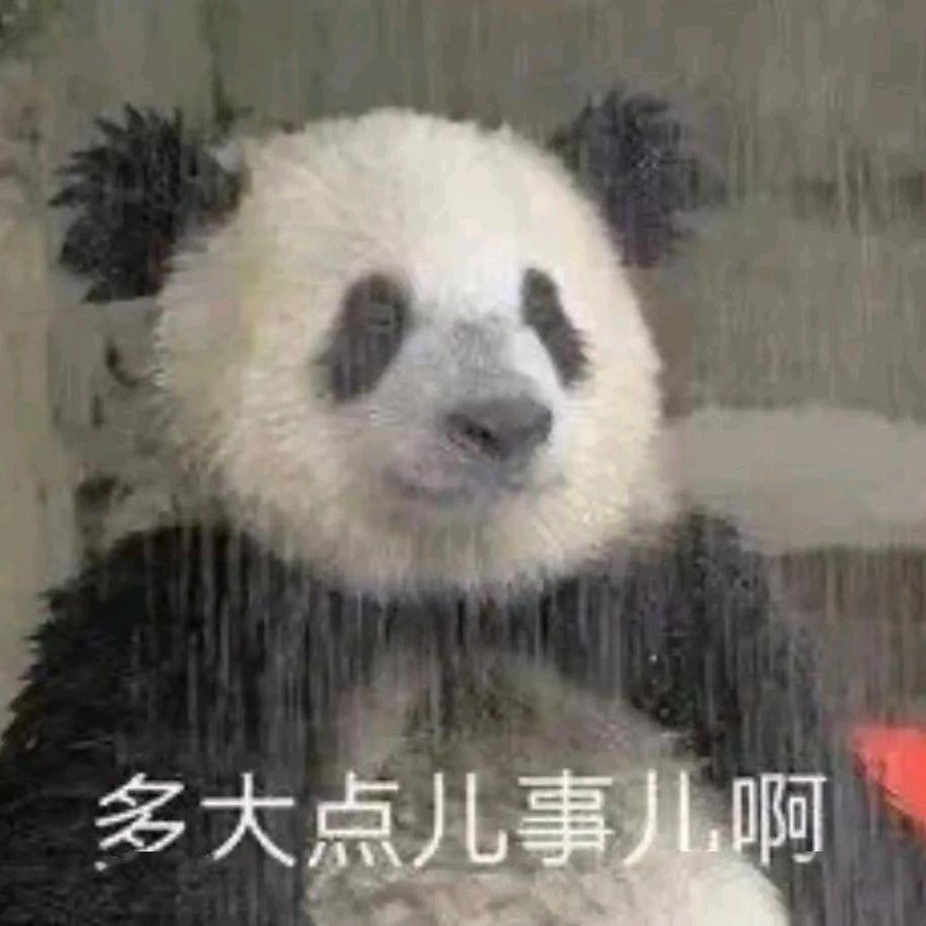 啥也不是