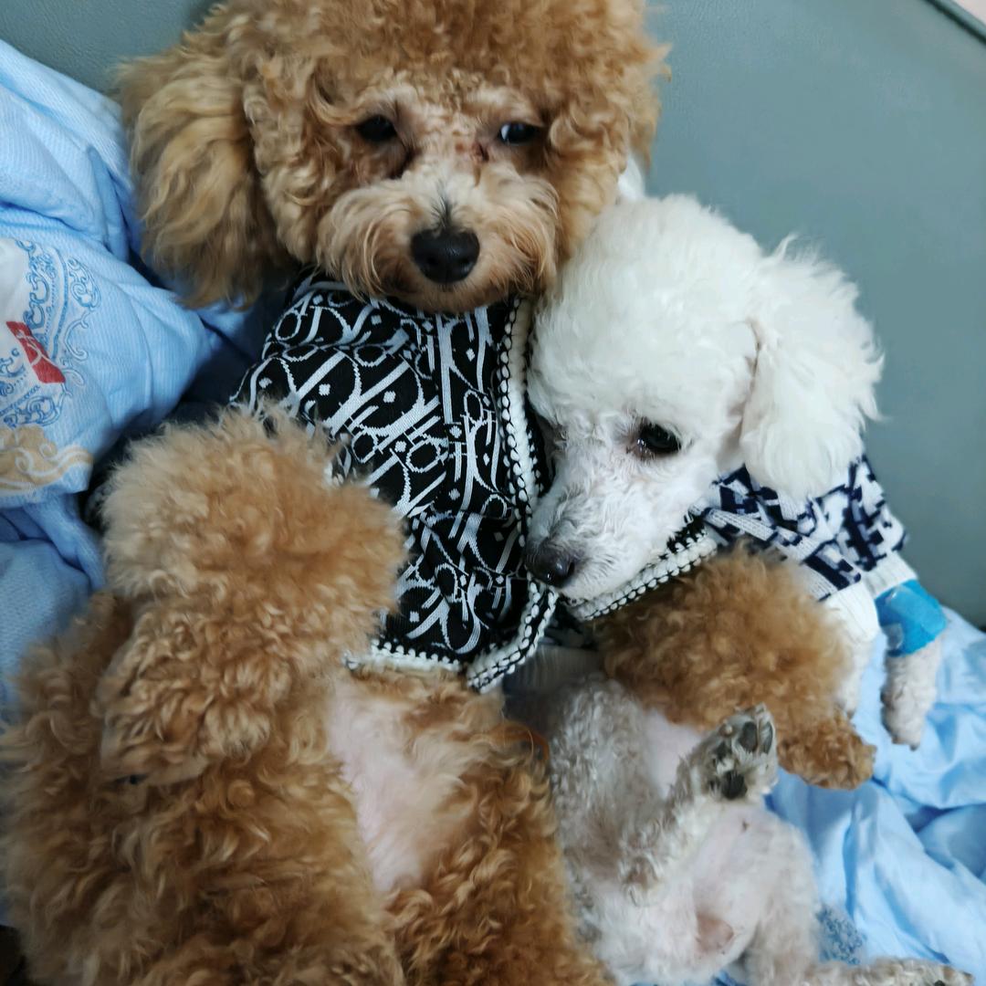 命运、自己掌握