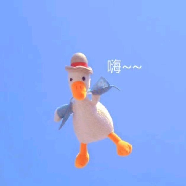🌈圆不元
