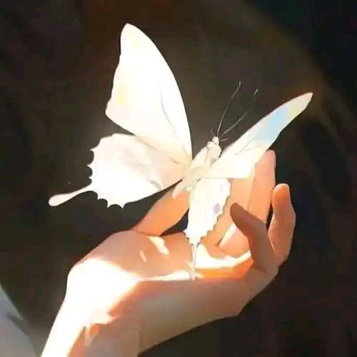 💞ღ᭄淡雅飘香ঞ᭄༊🍬