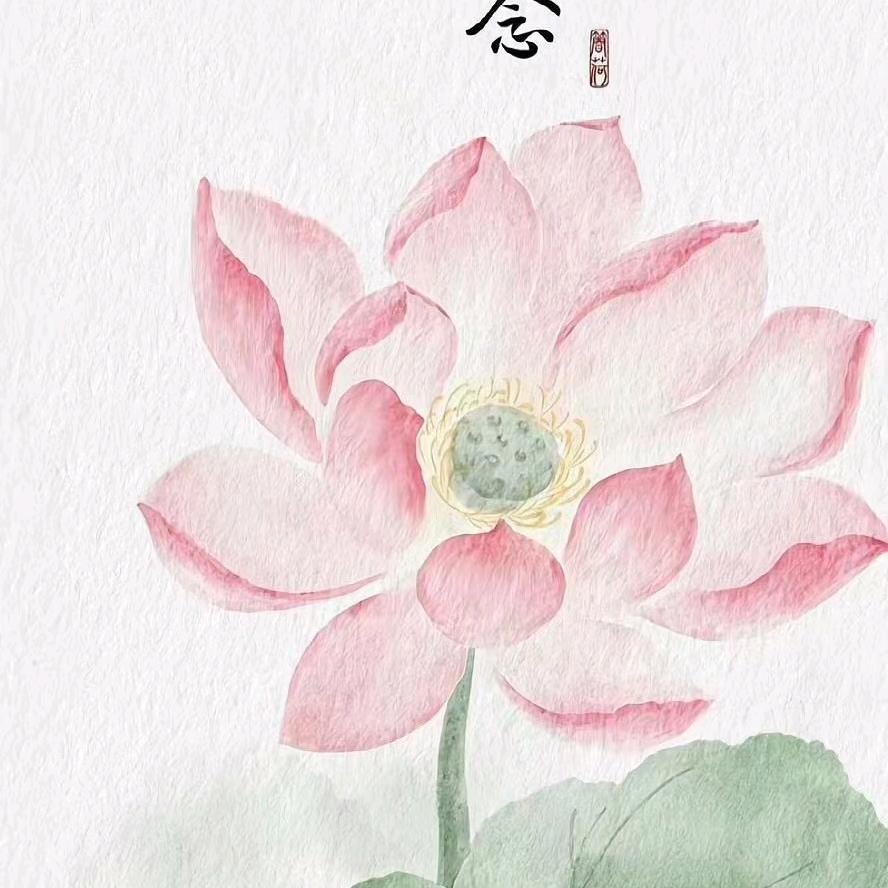 夏娃之秀中百二楼胡月