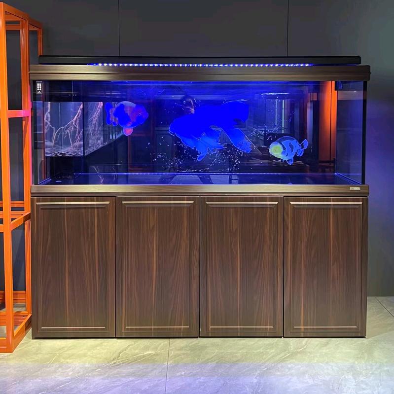 沈丘七秒鱼缸金鱼锦鲤器材一站式服务中心