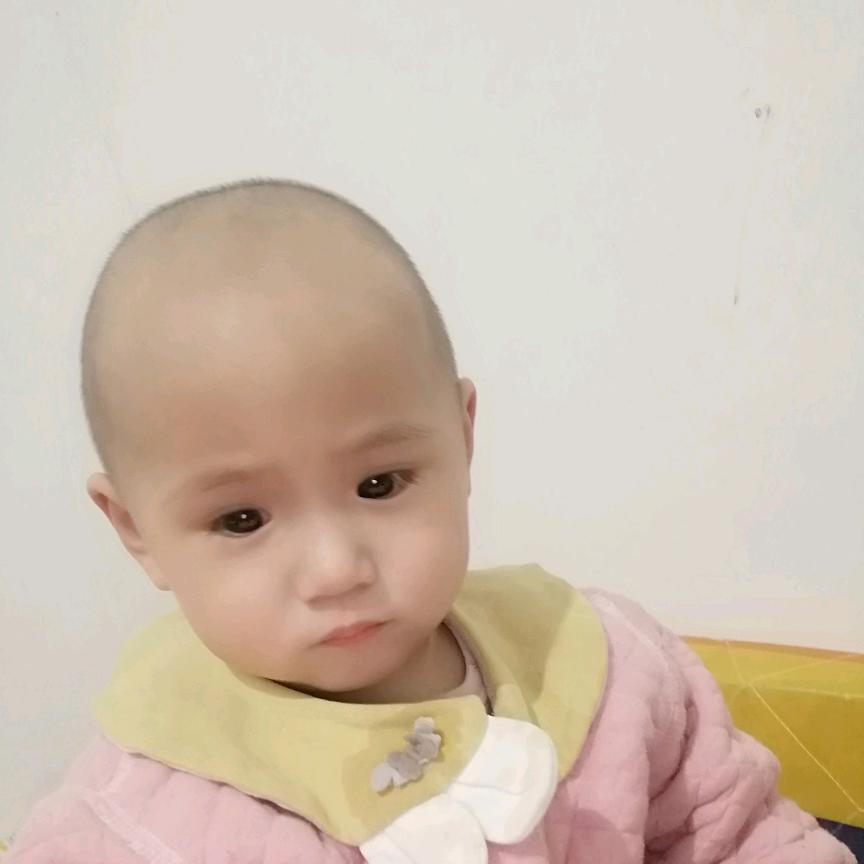 周二冉