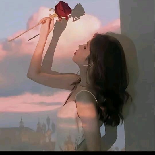 _菜菜_