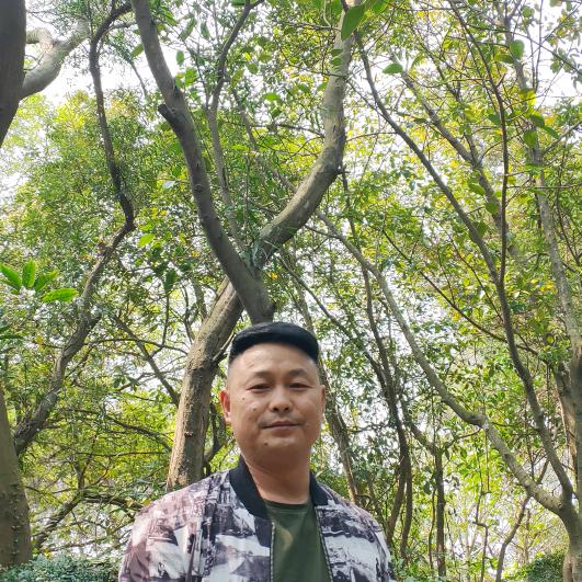 杨二哥