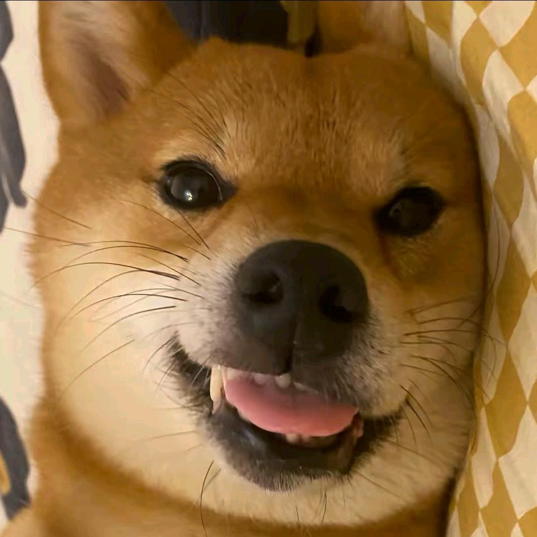 甜蜜蜜冬天