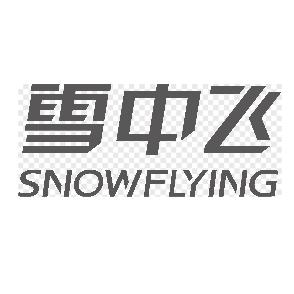 雪中飞丽暖专卖店铺