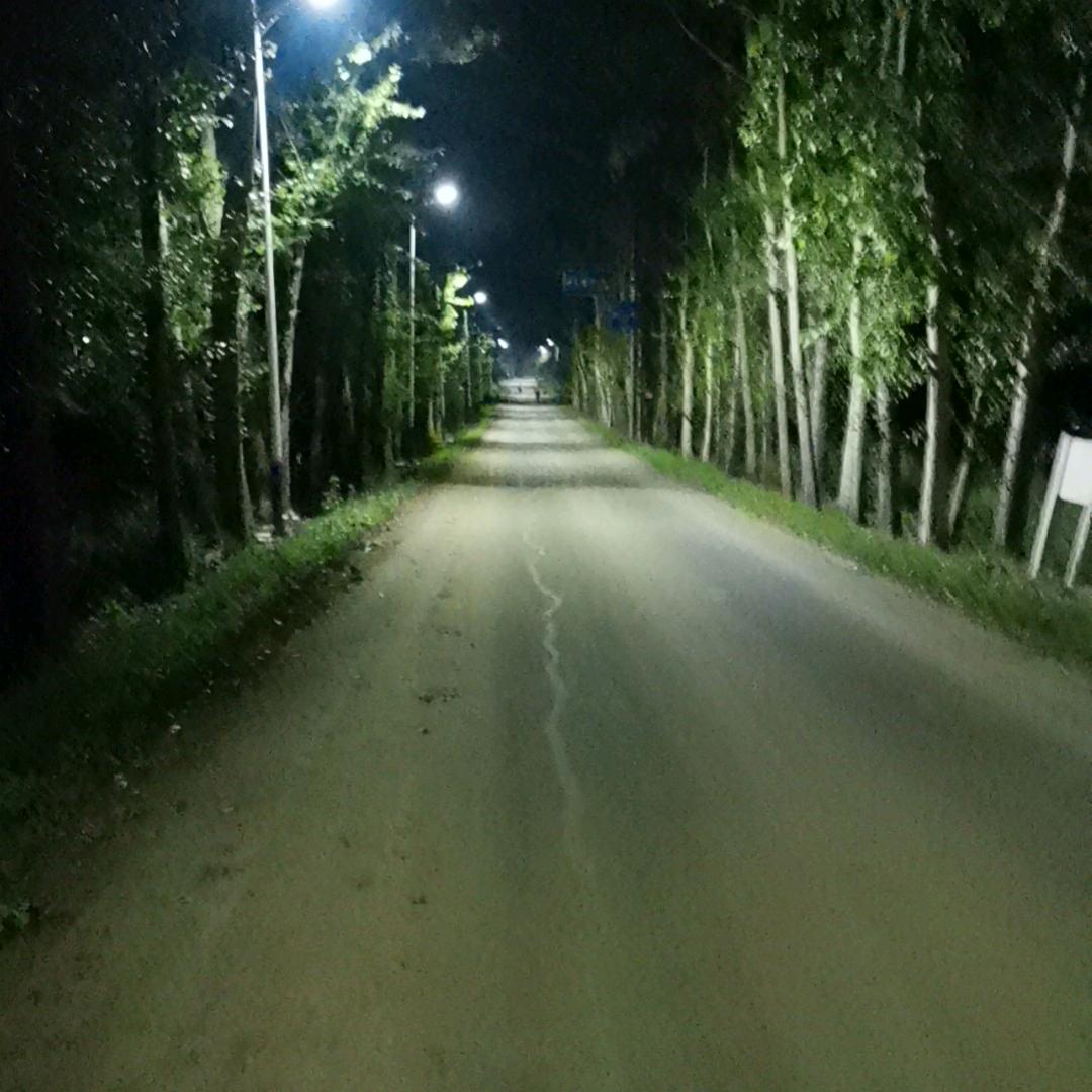 油豆头像