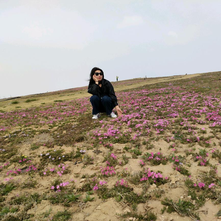 不如眉间朱砂痣