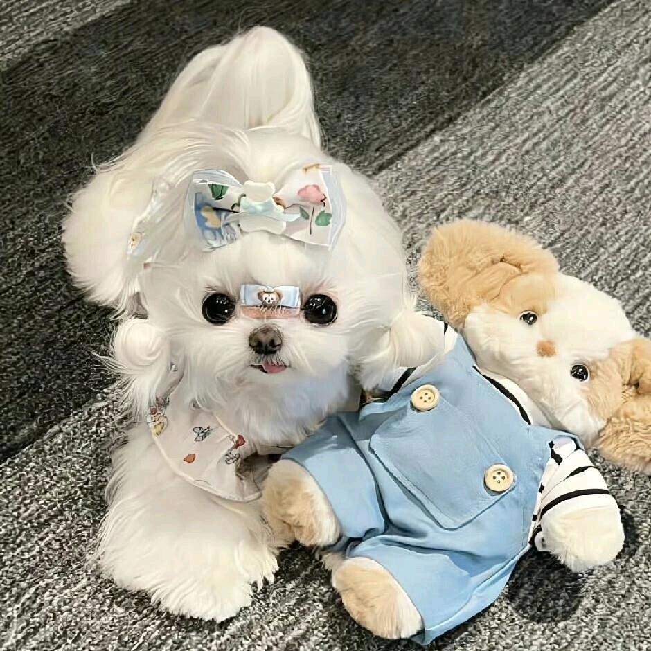 不甜～