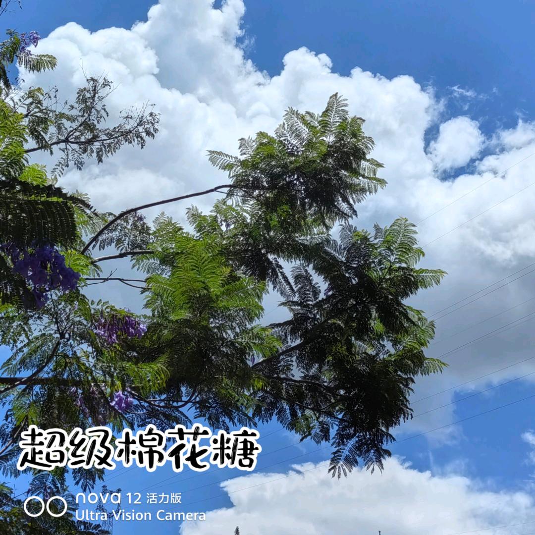 卖配件的小迷胡