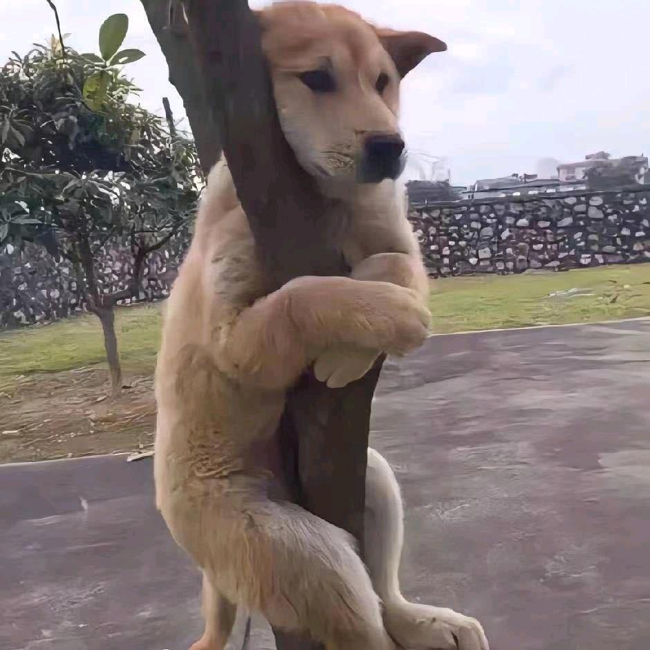 小巷口