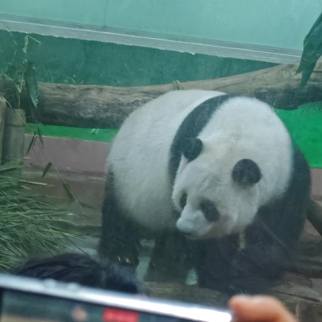ঞৣঁপ᭄᪲单纯哥꫞