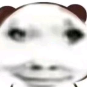 🐷🐭