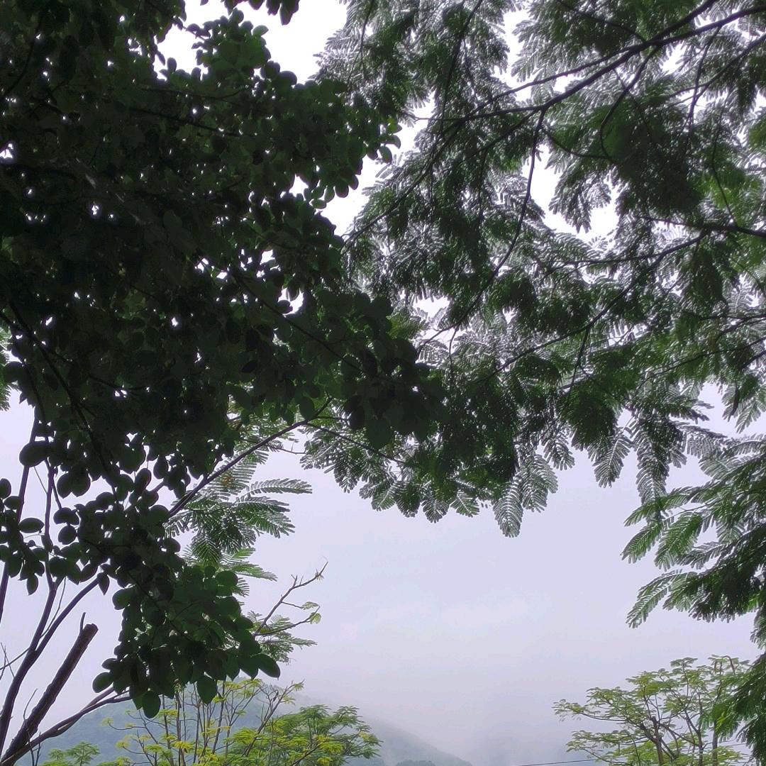 美丽人生