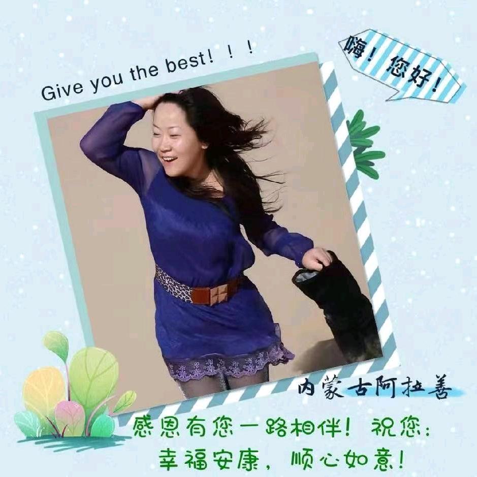 阿拉善叶子（如你所源特产）