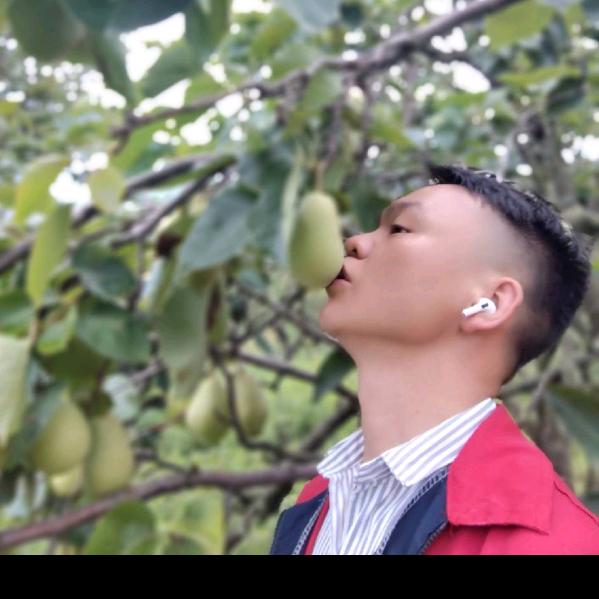 孤独的鹰