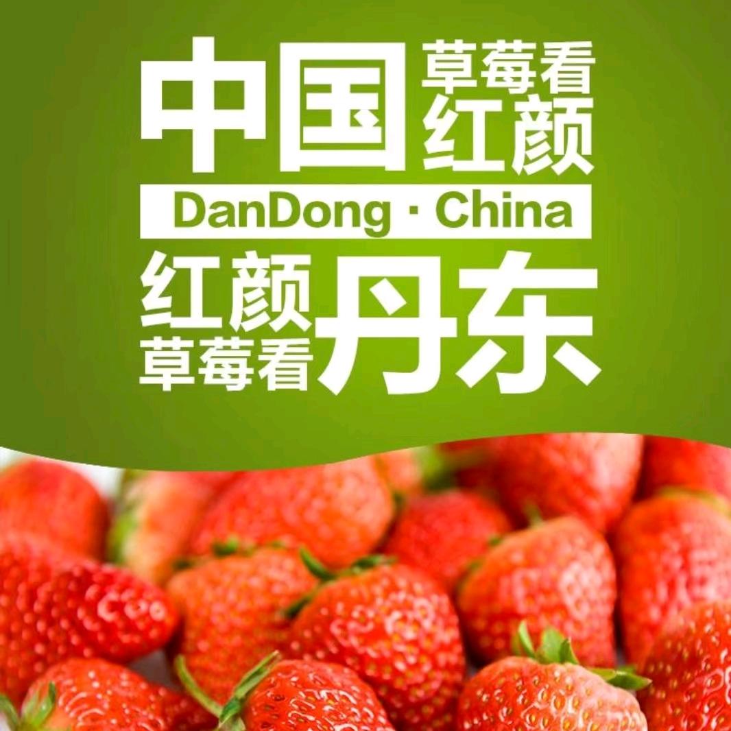 卖丹东九九草莓的小伙子