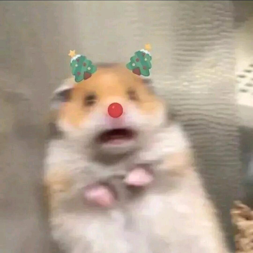 听老妈说名字越长就会有笨蛋跟着一起读一遍