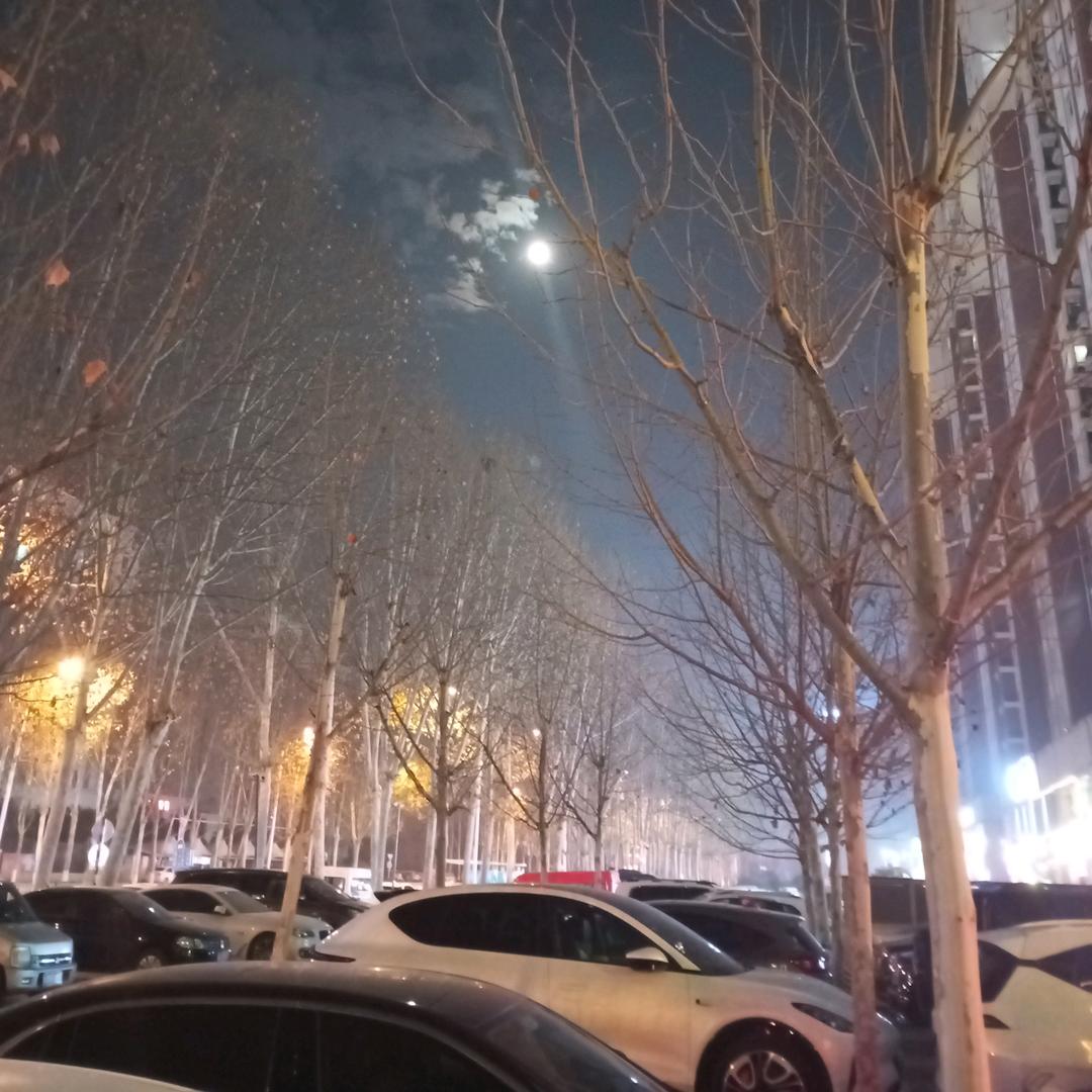 雨子哥～一路有你
