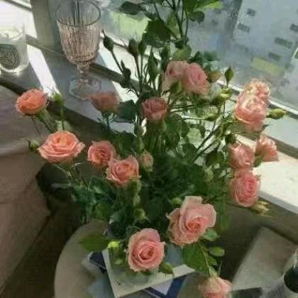 开心每一天 😉