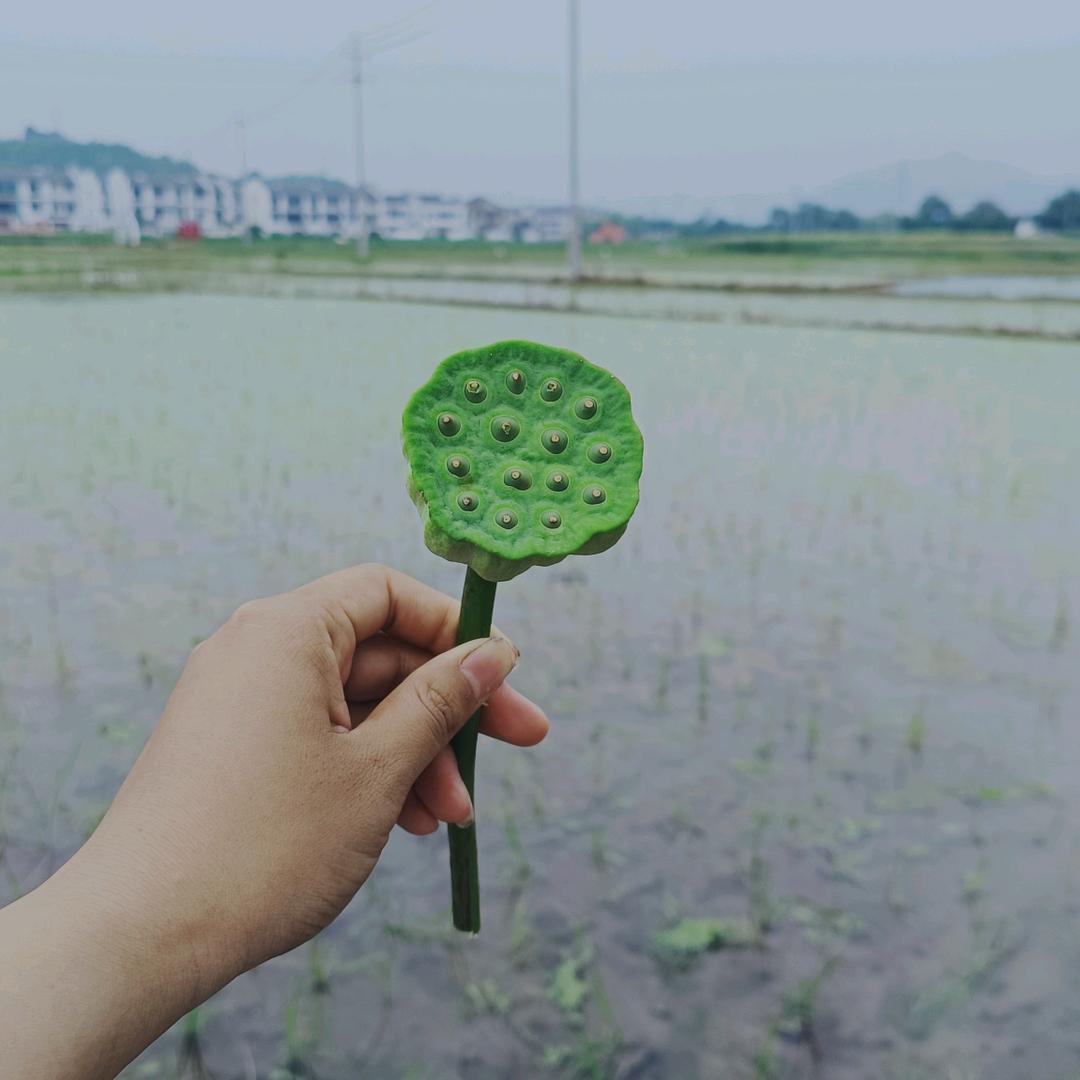 এ᭄༉ᩚ听闻余生ღ᭄