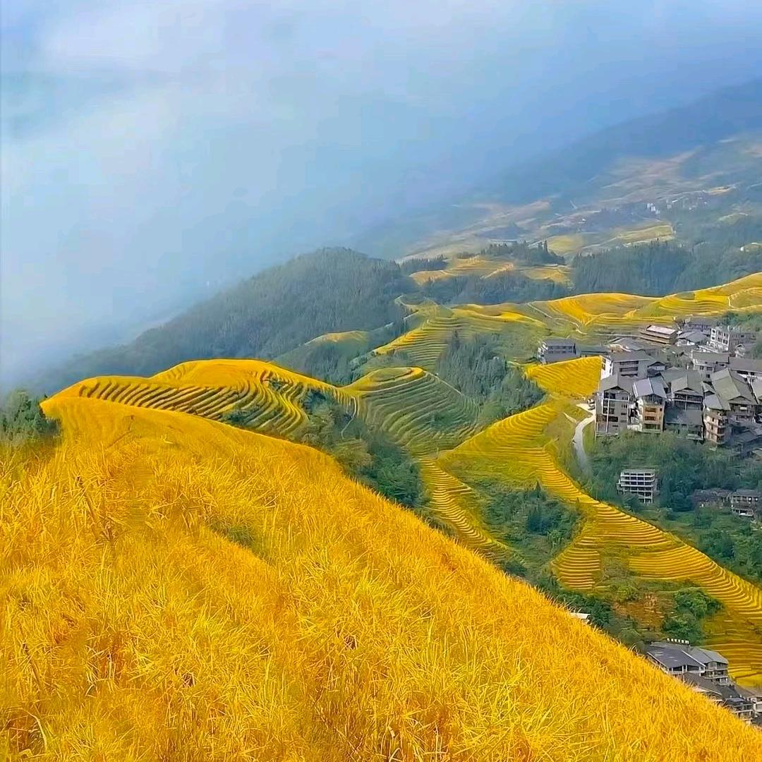 鑫欣向荣