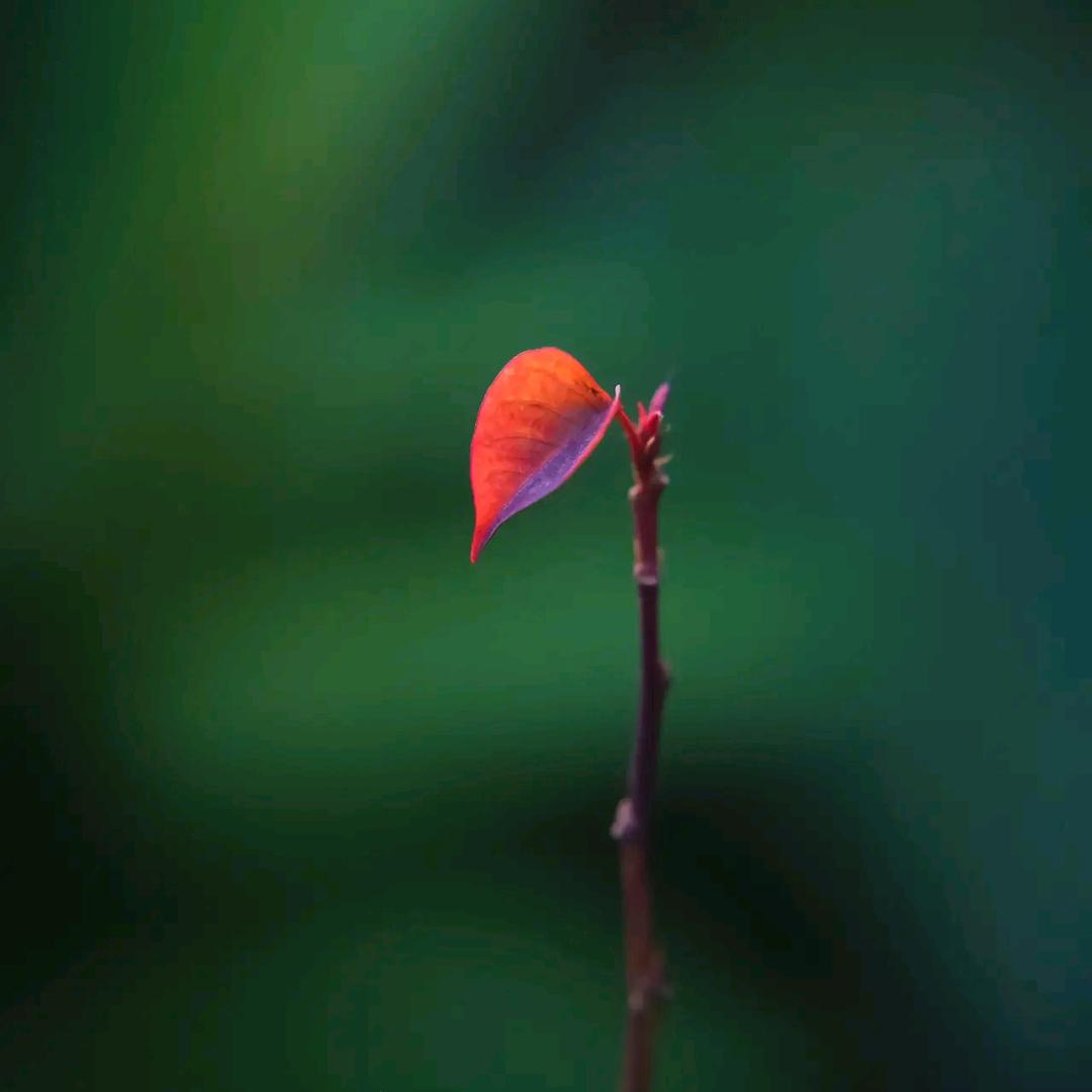 小小雨