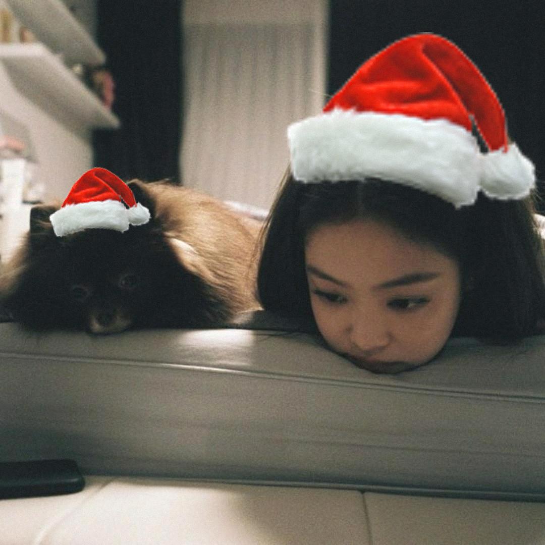 逸颗桂圆🦆🐰