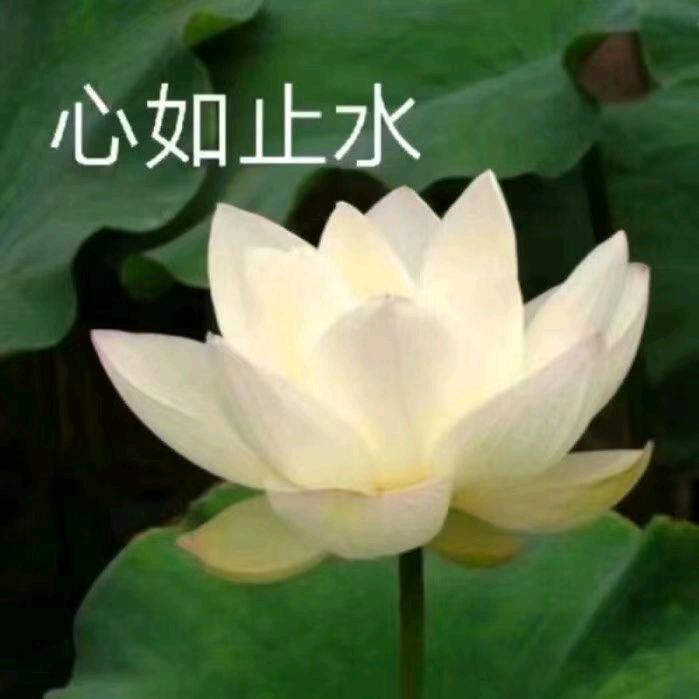 为人民服务.