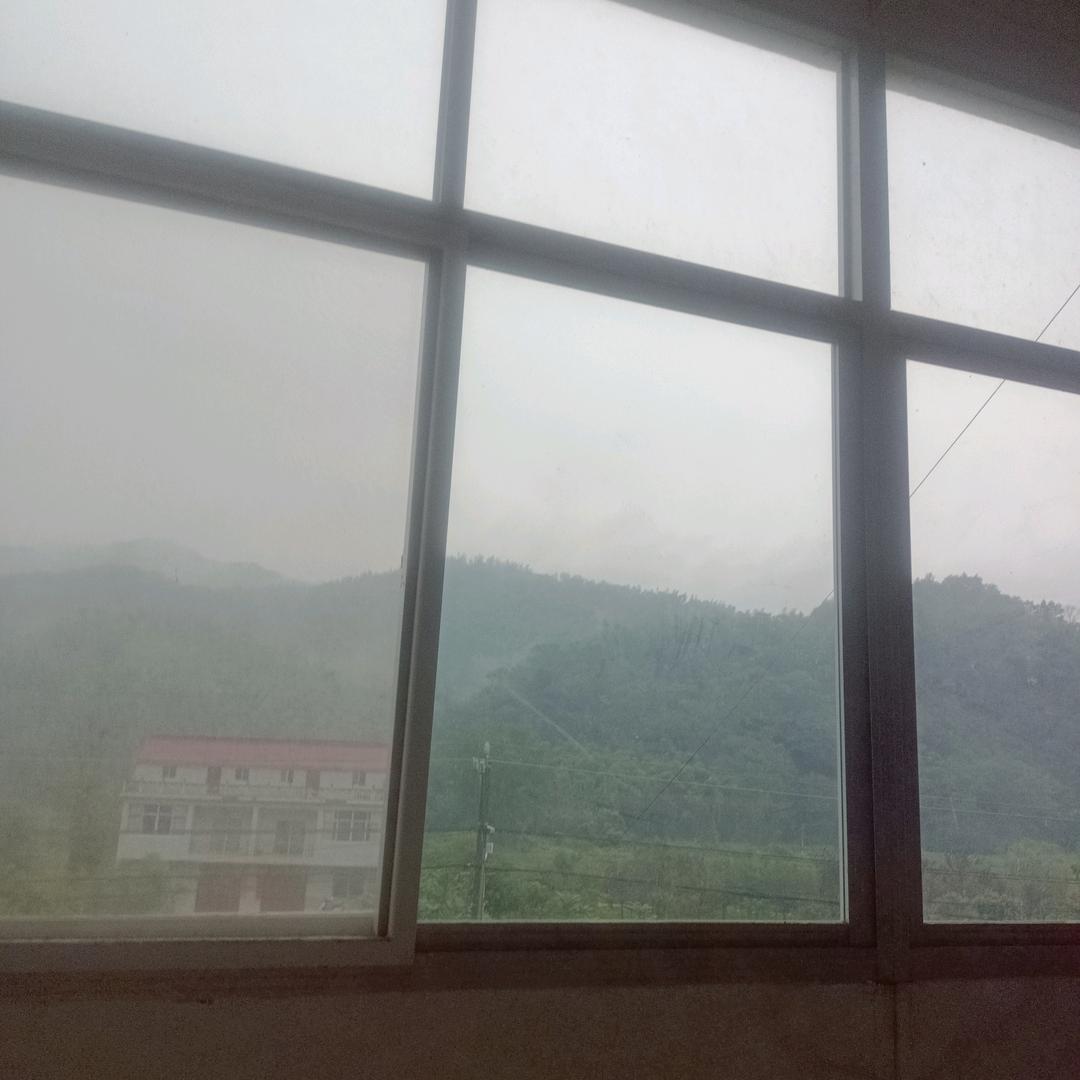 真心