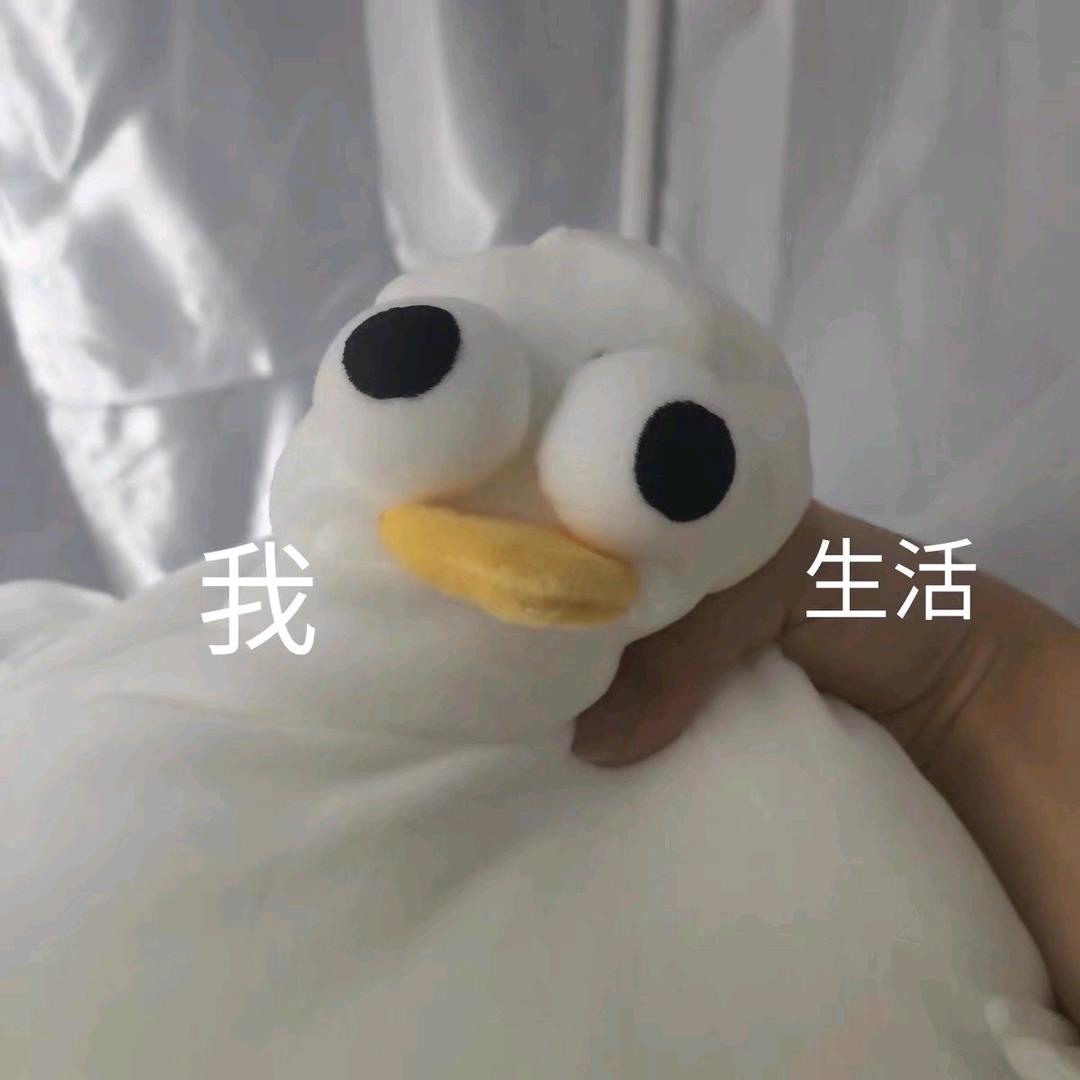 圆团超爱玩