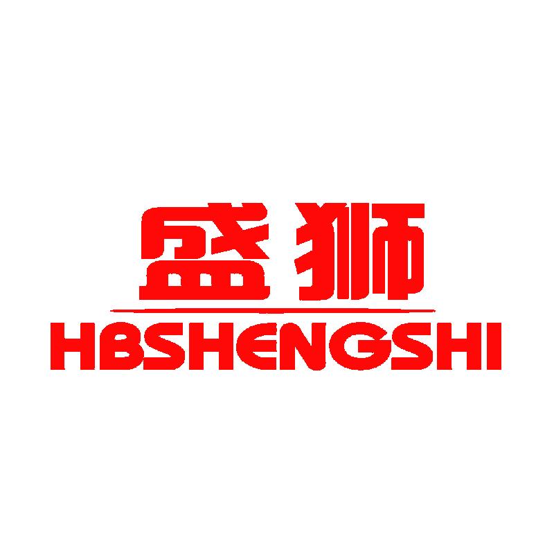 盛狮大家电旗舰店