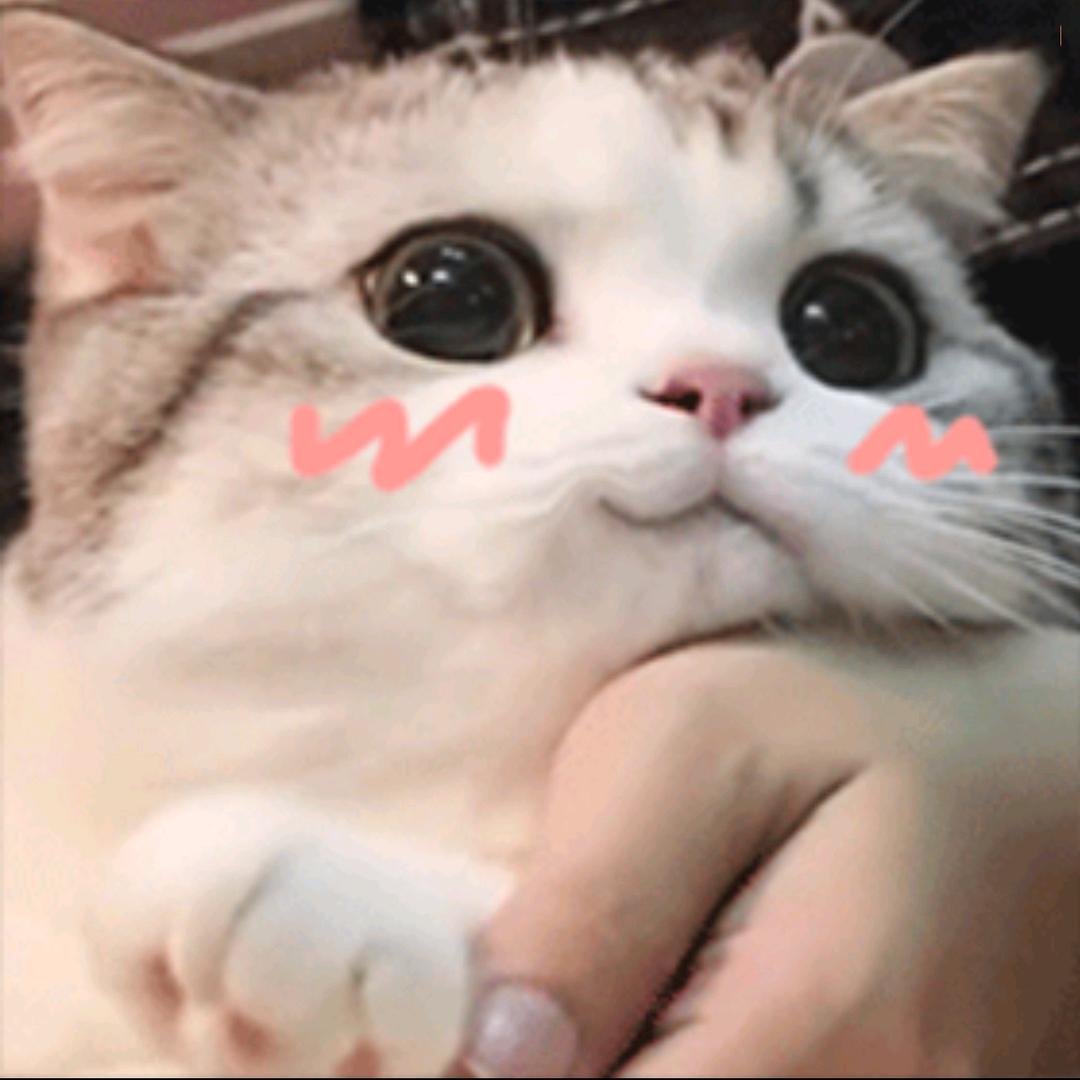 🌈一只小凶许🍀头像