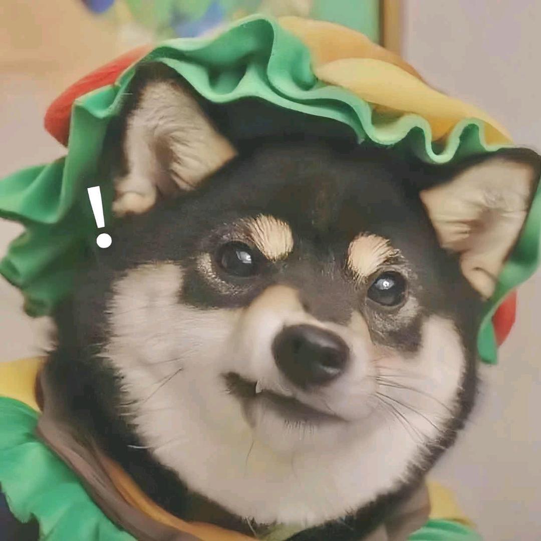 南河