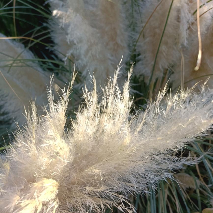 谁说女人要斯文