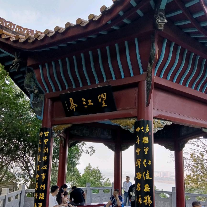 梦哥哥