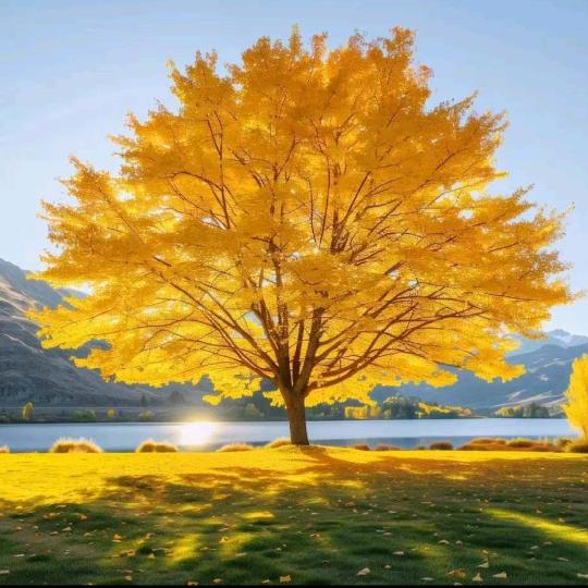 路过的人😬😬🇨🇳🇨🇳💯