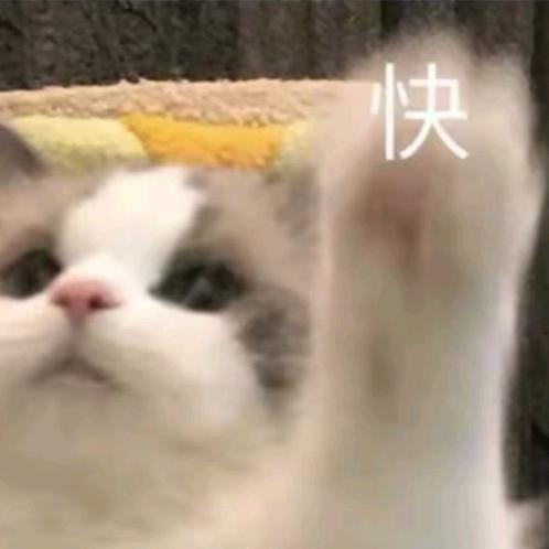 早点来唠嗑☀️