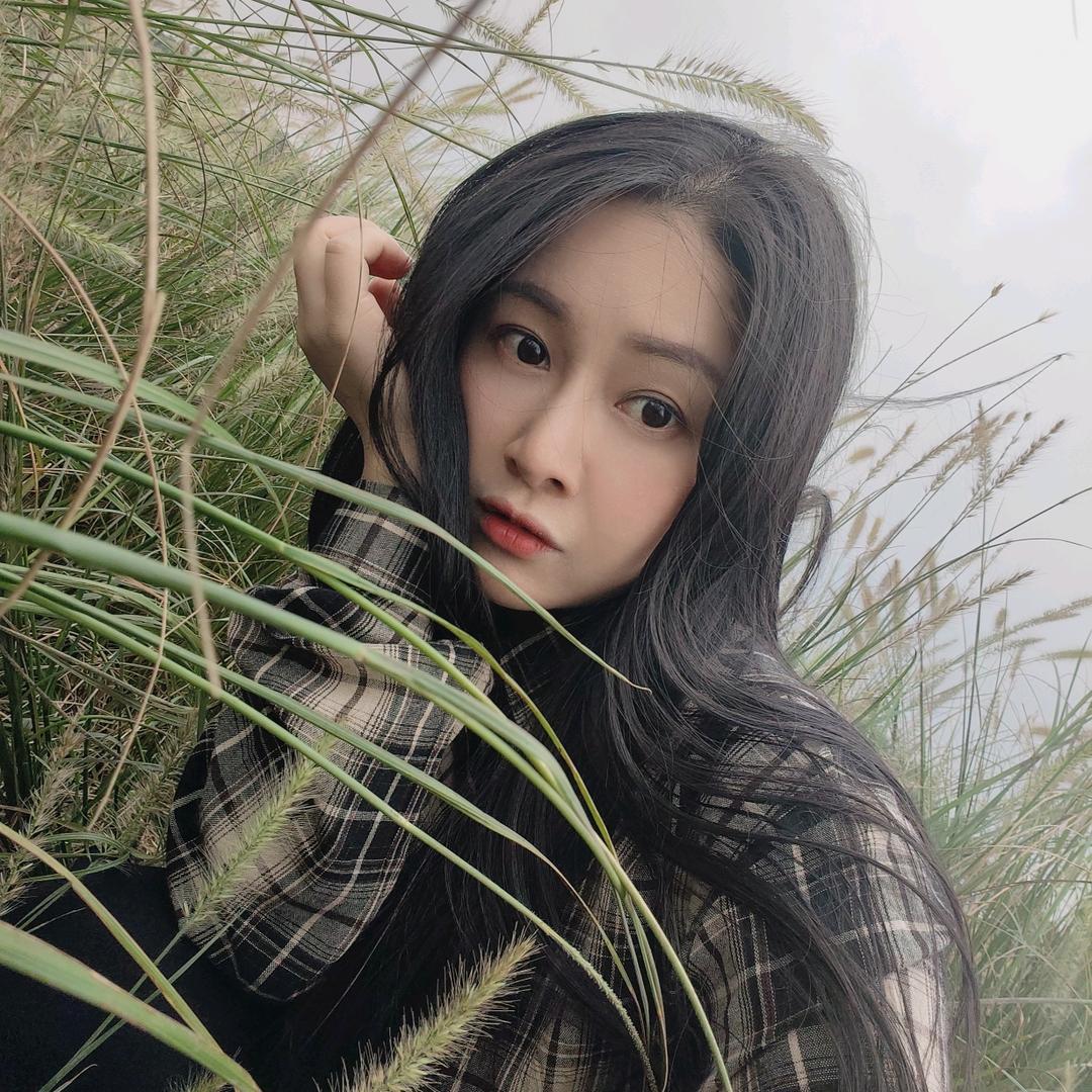 🌸昔梦