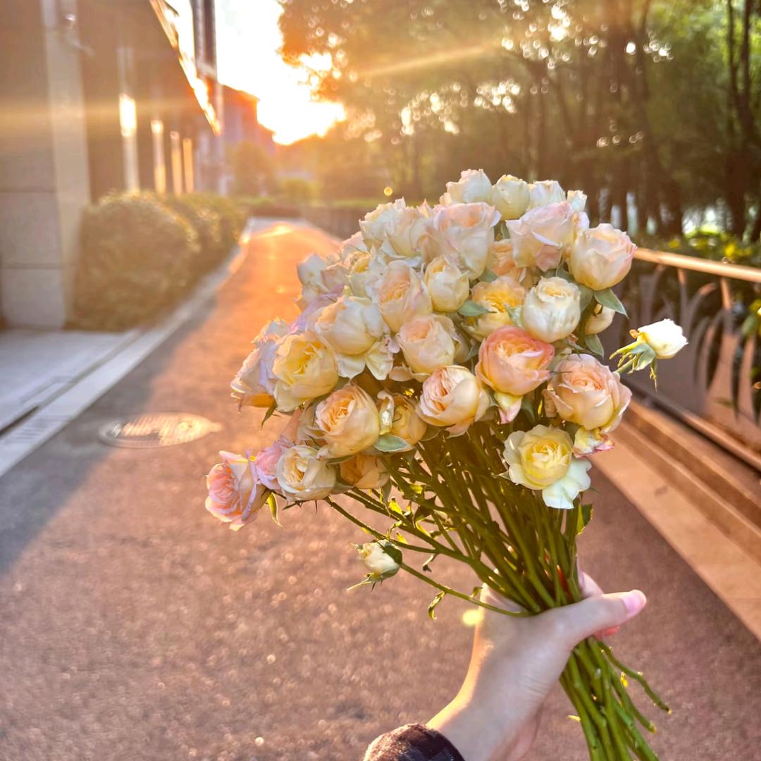 sunshine