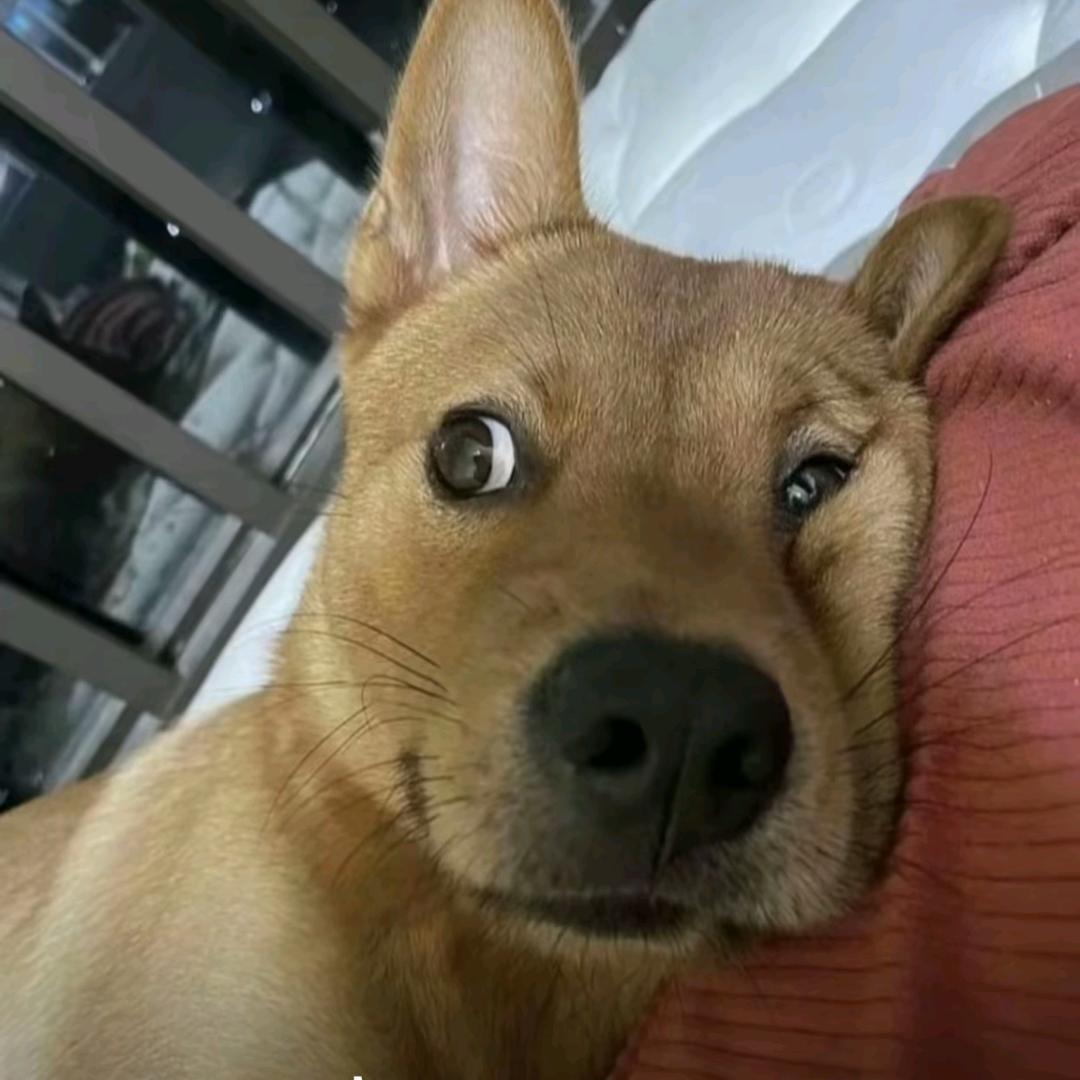 不如早睡