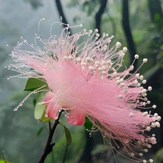 ℳঞ依恋 ꦿ ໌້ᮨ꧔ꦿ᭄💕