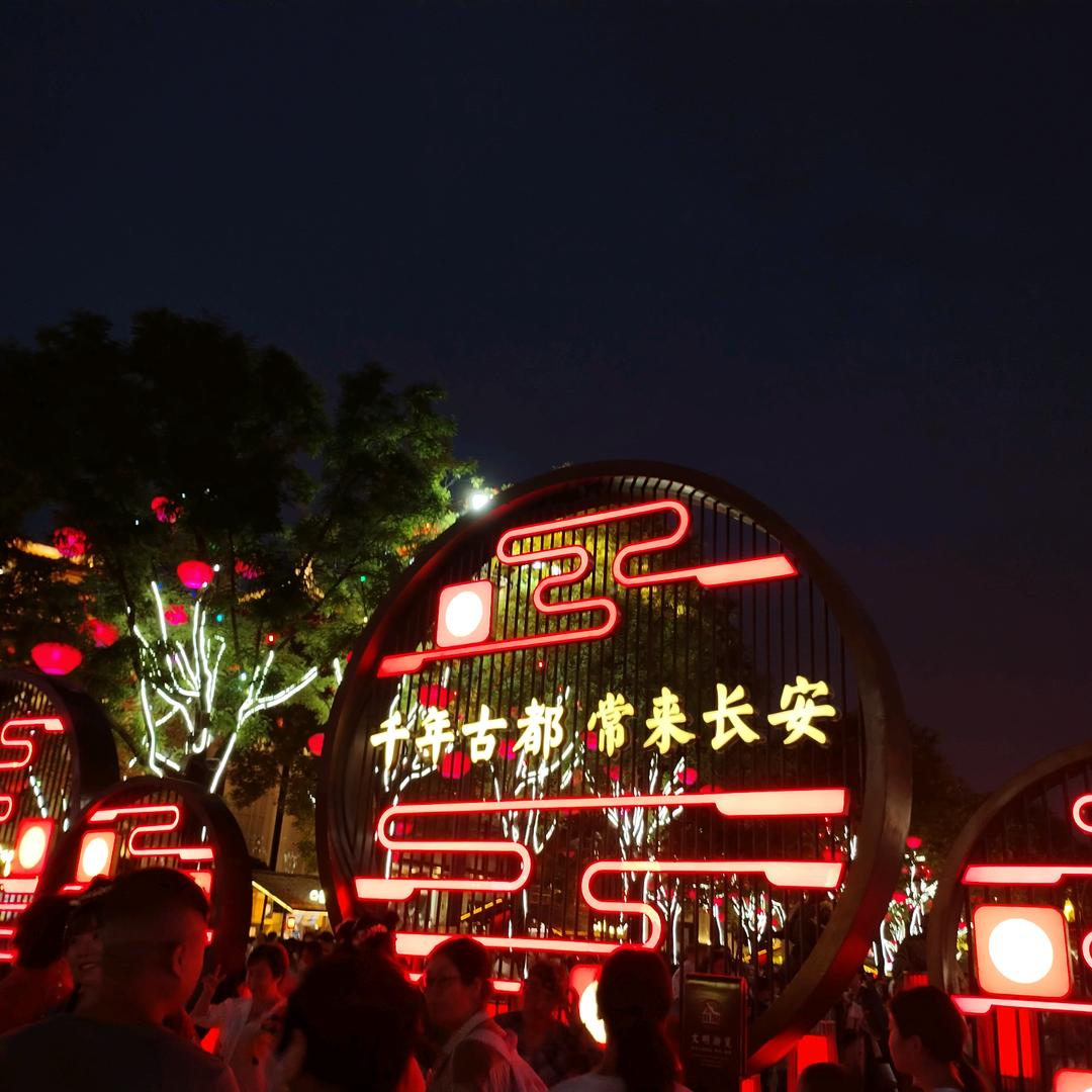 美丽的花