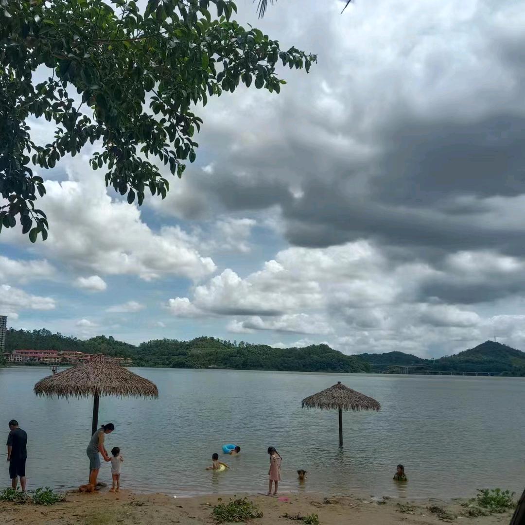 鑫聚木材厂，再生资源