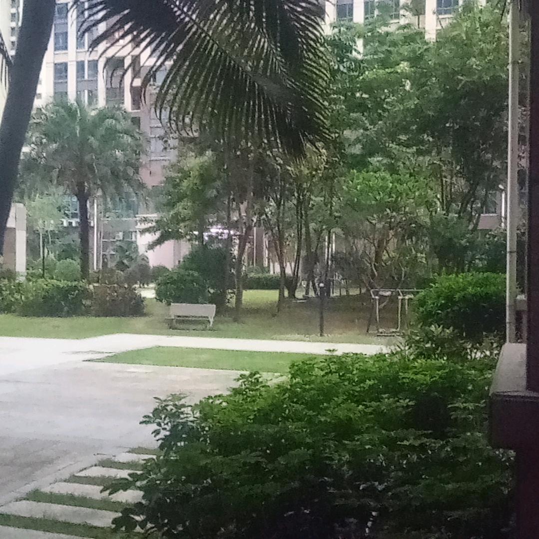 走遍大江南北225434717
