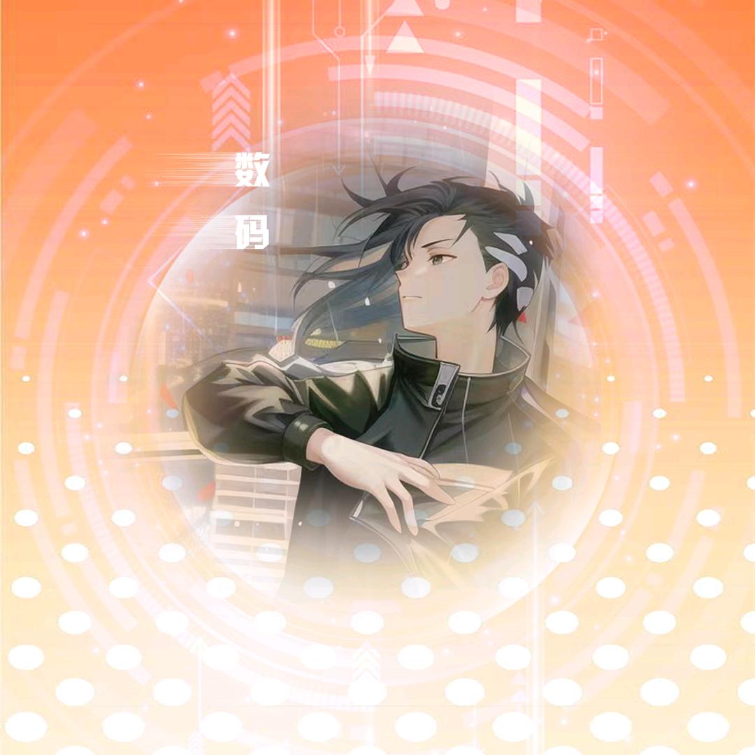 王导数码