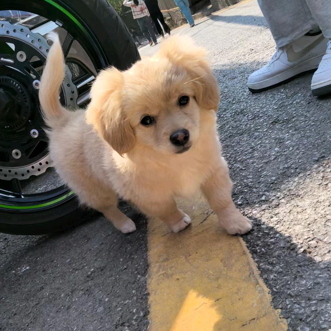 春秋～