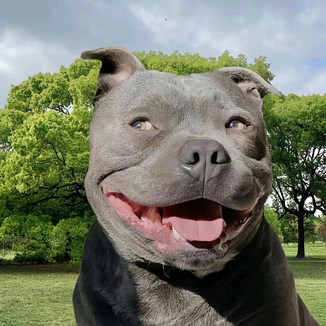 松鼠数码🐿卖手机的 00 后