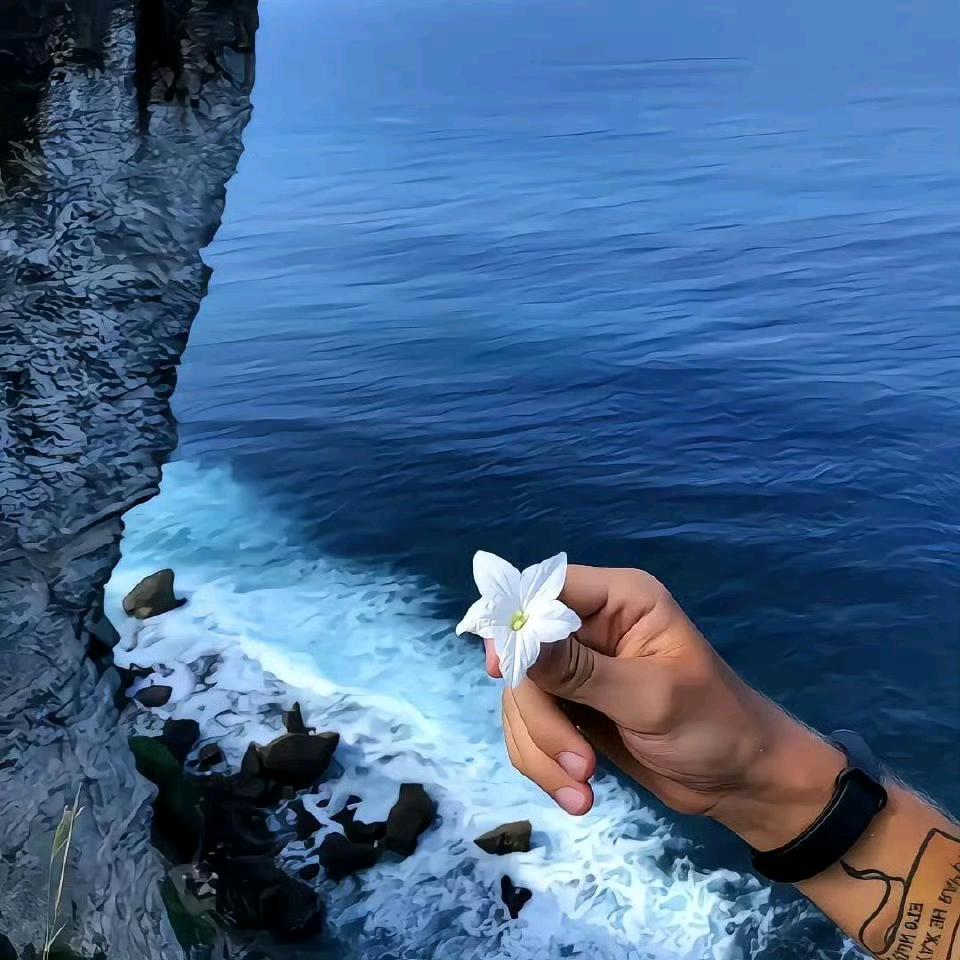 苗旺